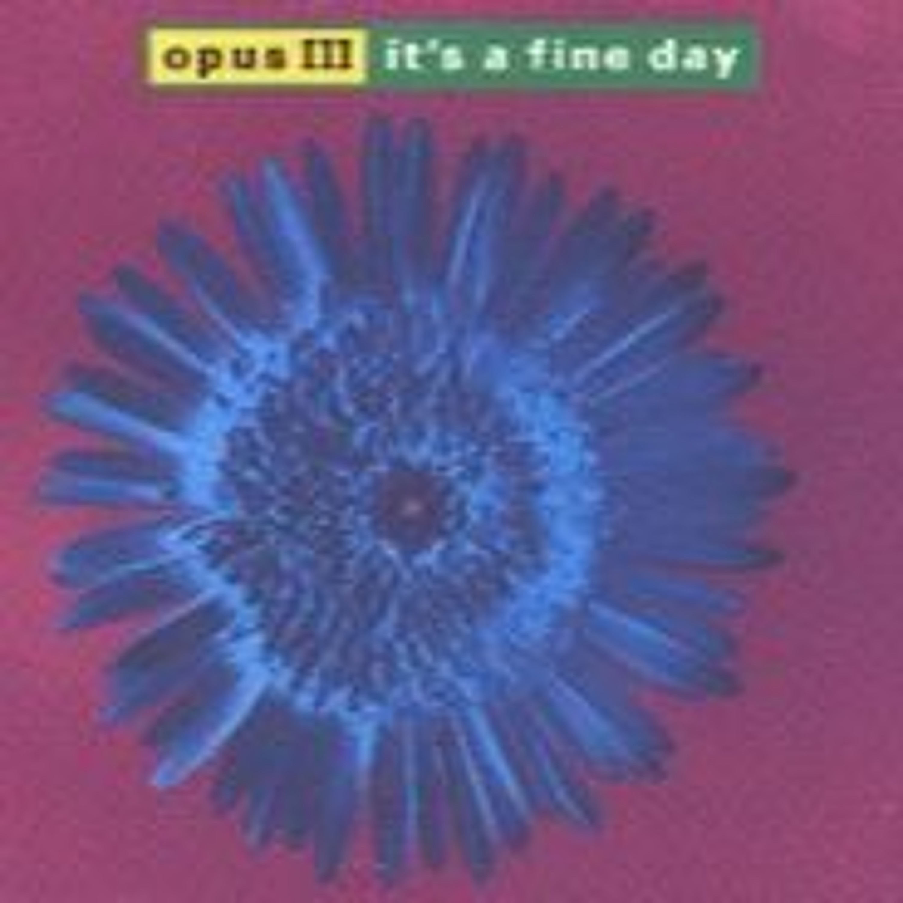 Friday Mixes