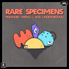 TS-001: Paranoid Tarras / Acid Underground