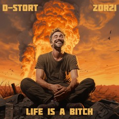 D - Stort - Life Is A Bitch