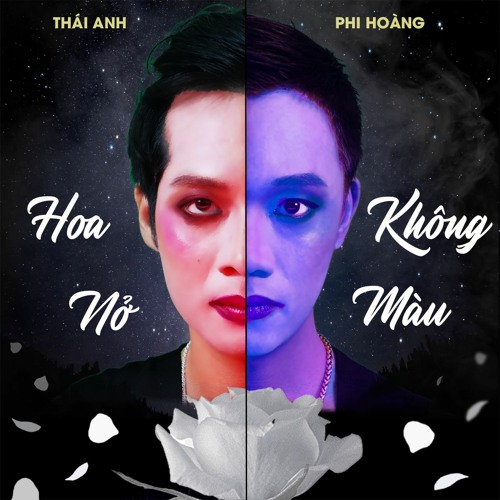 Stream HOA NỞ KHÔNG MÀU (Lo-fi Version Cover) - THAIANH & PHI HOÀNG by ...