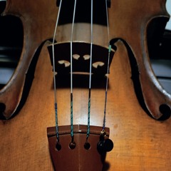 A Tail from Guinea Street