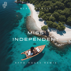 Ne-Yo - Miss Independent (Black Beatle Afro House Remix) PITCHED