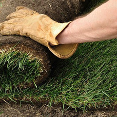 8 Minute Laid Sod
