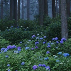 Sollby - Spring