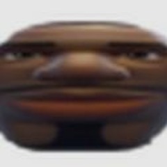 MUSZE COS WYSNIC