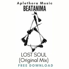| FREE DOWNLOAD: Lost Soul - Beatanima (Original Mix) |