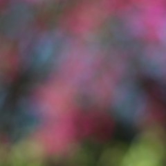 Making Love Songs (2016)_Extract