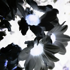 Wedding Dress (demo)