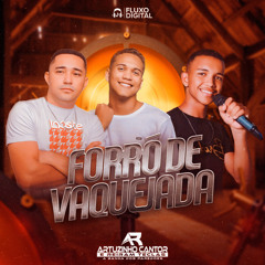 Vidas Solteiras Importam