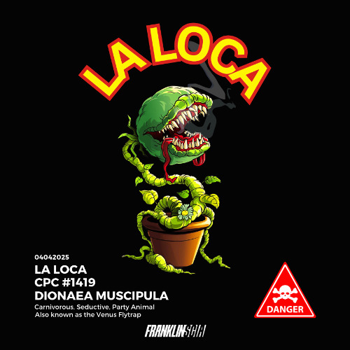 La Loca (Live Set)