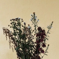 Withered Flowers From You - Emvii