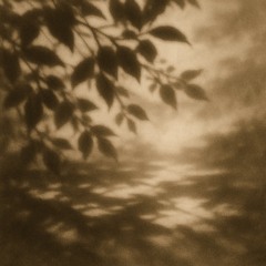 Airsongs: Leaf Shadows
