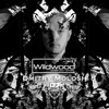 #133 - Dmitry Molosh (BLR) DJ mix artwork - Electronic music tracklist cover image