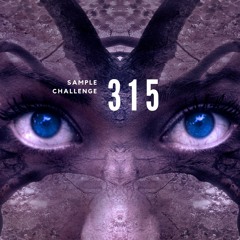 Sample Challenge 315