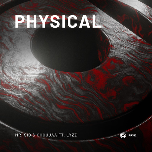 Mr. Sid & Choujaa ft. LYZZ - Physical