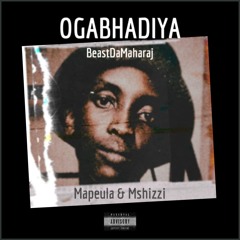 BeastDaMaharaj × Mapeula × Mshizzi-oGhabhadiya (unofficial single)