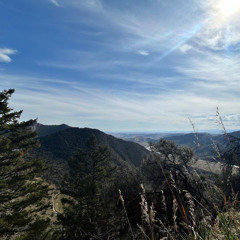 Mammas Don't Let Your Babies Grow Up To Be Cowboys (Waylon Jennings & Willie Nelson)