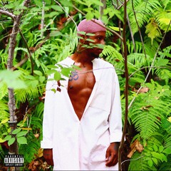TROUBLE IN PARADISE PROD BY 44YOUMADETHIS