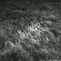 Everything Burns At Once