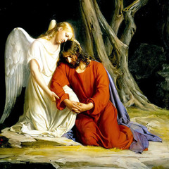 the forlorn heart