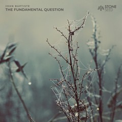 John Baptiste - The Fundamental Question [Stone Seed] • OUT NOW