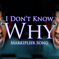I Don’t Know Why (Markiplier Remix)| Endigo