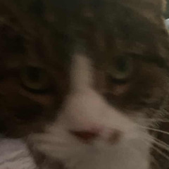 i can't (chill sebs)