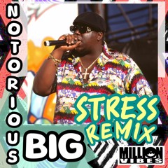 Notorious BIG - Warning (Million Vibes RMX)