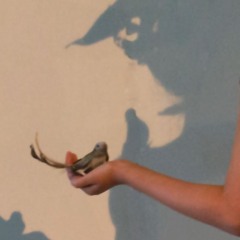 Beyond the Wall Suite for Piano Quintet