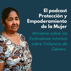 Miniserie sobre los Estándares mínimos sobre Violencia de Género - Estándar 2