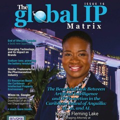 The Global IP Matrix issue 16