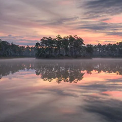 Jeev - Disappear p2 (Fast)