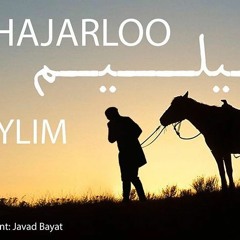 Danial Asadi - Leylim