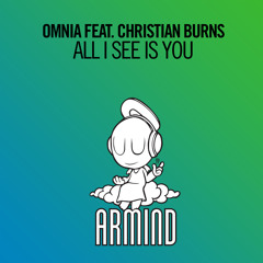 All I See Is You (feat. Christian Burns)