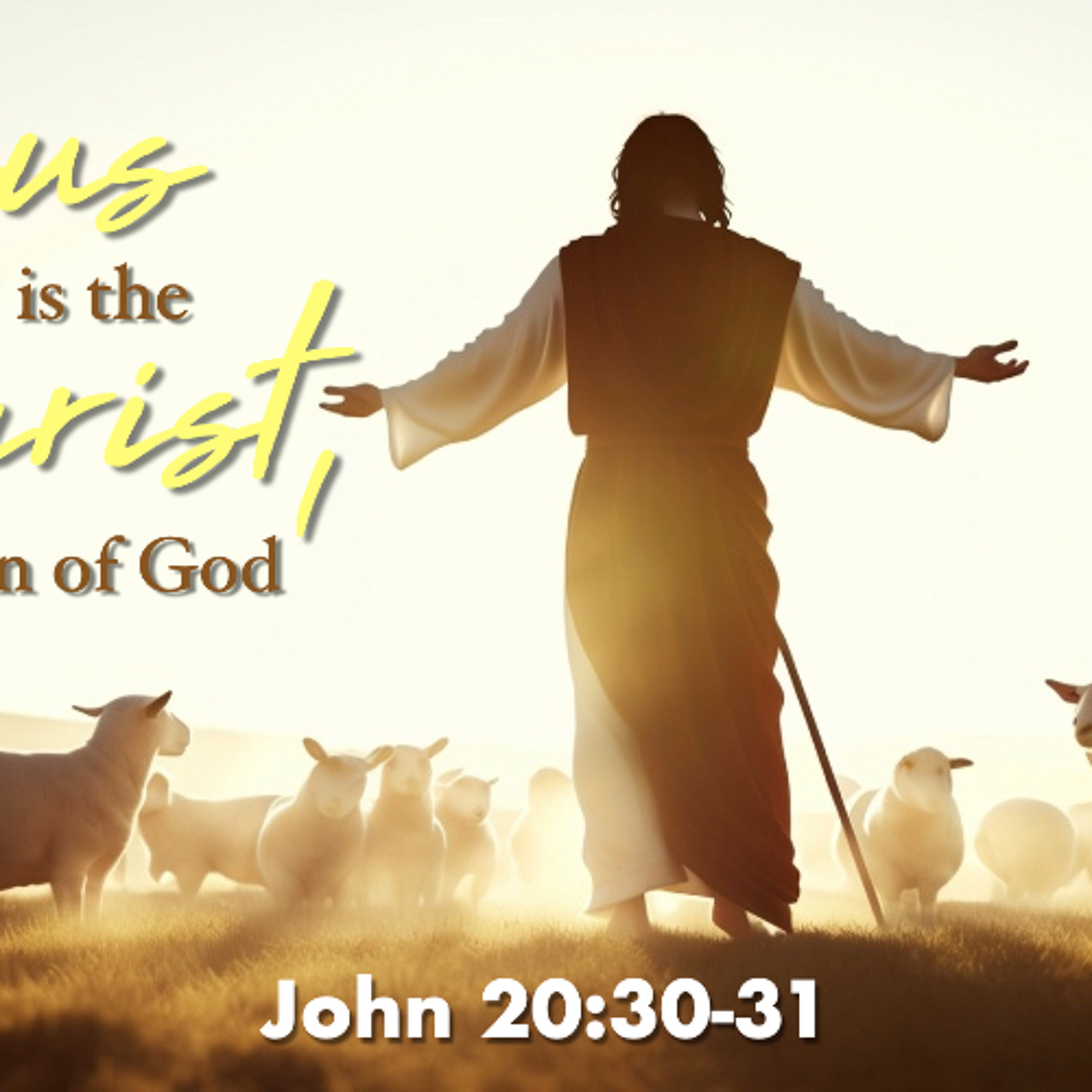 Jesus is the Christ, the Son of God - John 20:30-31 - Matthew Niemier episode artwork