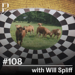 Past Forward #108 with Will Spliff