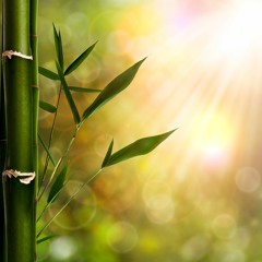 ממד הריפוי - להעריך את החיים