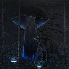 Slipping into Darkness