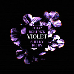 ETHAN BORTNICK - VIOLET (SHULKY REMIX)