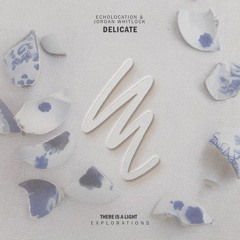 Echolocation Jordan Whitlock - Delicate