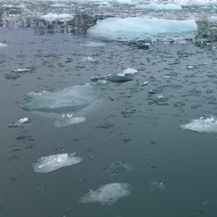 The History Of Ice, Movement 3: Ice Fields