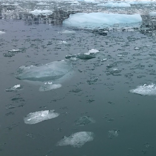 The History Of Ice, Movement 3: Ice Fields