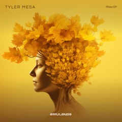 Tyler Mesa - A Distant Reverie (Original Mix)