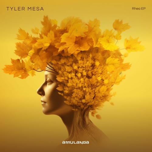 Tyler Mesa - A Distant Reverie (Original Mix)
