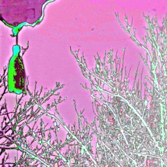 Enfant De Lave {-prod. /RoTTnn-}