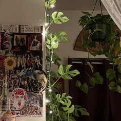 Everything Needs An Interlude