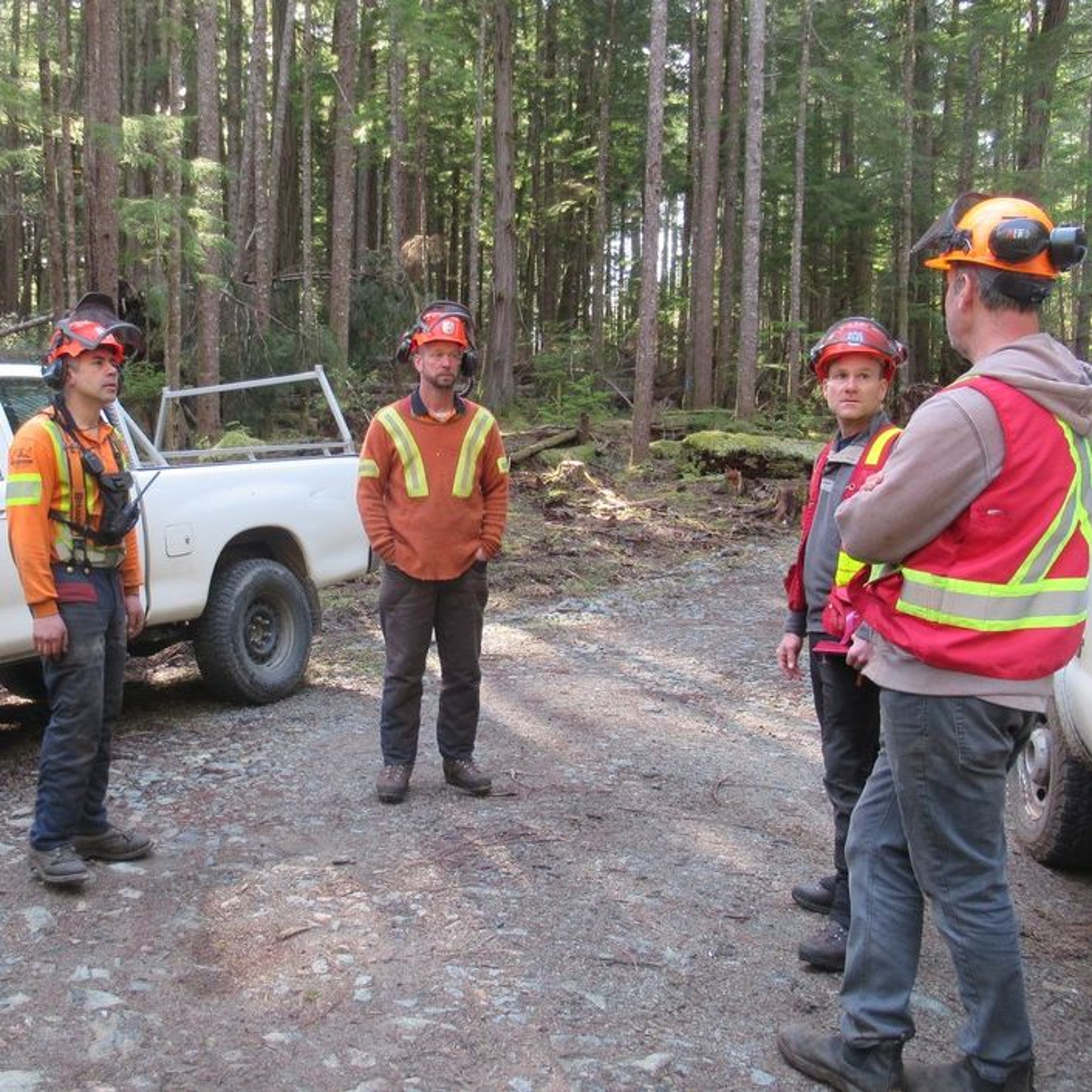 Cortes Community Forest receives funding for Wildfire Protection Plan