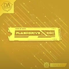 Flashdrive SSD: Gold Instrumental