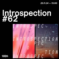 Introspection #62