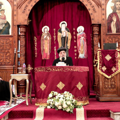 حكايات الشجرة المغروسة (١) عظة الأربعاء لقداسة البابا تواضروس الثاني 25-06-2025